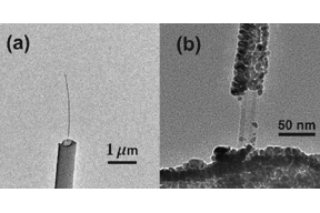 Thumbnail of figure from publication
