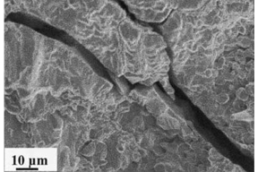 Thumbnail of figure from publication