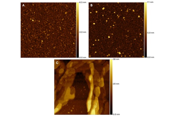 Thumbnail of figure from publication