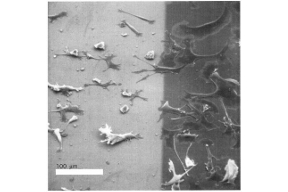 Thumbnail of figure from publication
