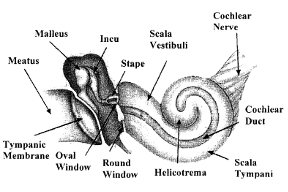 Thumbnail of figure from publication