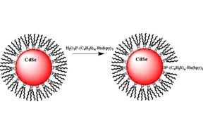 Thumbnail of figure from publication