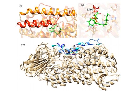 Thumbnail of figure from publication