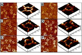 Thumbnail of figure from publication